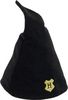 Harry Potter - Hogwarts Student Hat