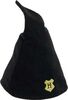Harry Potter - Hogwarts Student Hat