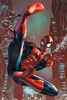 Spider-Man - Webslinger Poster