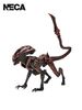 Aliens - Prowler Fireteam Elite 7" Action Figure