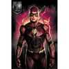 Justice League The Flash Solo Maxi Poster