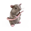 Harry Potter - Scabbers Plush