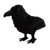 A Game of Thrones - 3 Eyed Raven Plush