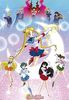 Sailor Moon - Moonlight Power Poster