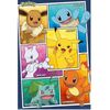 Pokemon - Characters Poster