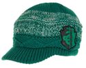 Harry Potter - Slytherin Knit Brim Cap