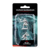 Dungeons & Dragons Nolzur's Marvelous Miniatures: Human Female Barbarian