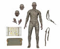 Universal Monsters - The Mummy Ultimate 7" Figure
