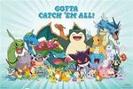 Pokemon - Got To Catch Em All Poster