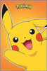 Pokemon - Pokemon Pikachu Waving Poster