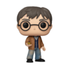 Harry Potter - Harry Potter Pop! Vinyl (Harry Potter #196)