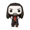 What We Do In The Shadows - Nandor the Relentless Pop! Vinyl Figure (Television #1326)
