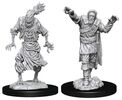 Dungeons & Dragons Nolzur's Marvelous Unpainted Miniatures: Scarecrow & Stone Cursed