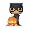 DC Comics - Catwoman with Pumpkin Pop! Vinyl (DC Heroes #507)