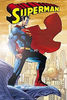 DC Superman Stance Poster
