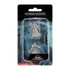 Dungeons & Dragons Nolzur's Marvelous Miniatures: Human Female Wizard