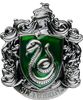 Harry Potter - Slytherin Crest Metal Magnet