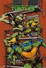Teenage Mutant Ninja Turtles - Balcony Maxi Poster