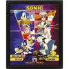 Sonic The Hedgehog 3D Poster Print Framed