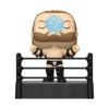 WWE - Triple H (Ring Entrance) Pop! Premium (WWE #192)
