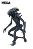 Alien Vs Predator - Arachnoid Alien 7" Action Figure