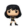 Wonder Woman - Wonder Woman The Contest 80th Anniversary Pop! Vinyl Figure (DC Heroes #391)