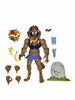 Teenage Mutant Ninja Turtles: Dreadmon 7" Action Figure