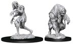 Pathfinder - Deep Cuts Unpainted Miniatures: Annis Hag & Green Hag