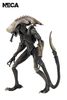 Aliens - Chrysalis Alien 7" Scale Action Figure