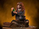 Harry Potter - Hermione Polyjuice 1:10 Scale Statue