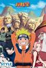 Naruto - Group Poster