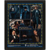 Fantastic Beasts The Secrets Of Dumbledore (Characters) 3D Poster Print Framed