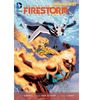 Fury of Firestorm The Nuclear Men - Vol 2 The Firestorm Protocols (The New 52) paperback graphic novel