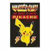 Pokemon - Characters Poster