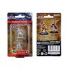 Dungeons & Dragons Nolzur's Marvelous Miniatures: Human Female Monk