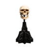 The Lord of the Rings - Skull of a Mordor Orc Miniature